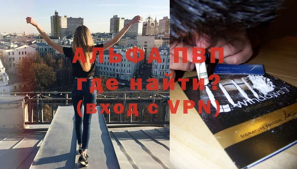 эйфоретик Алзамай