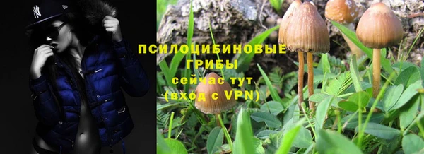 а пвп мука Алексеевка