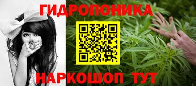 гашик Волжский