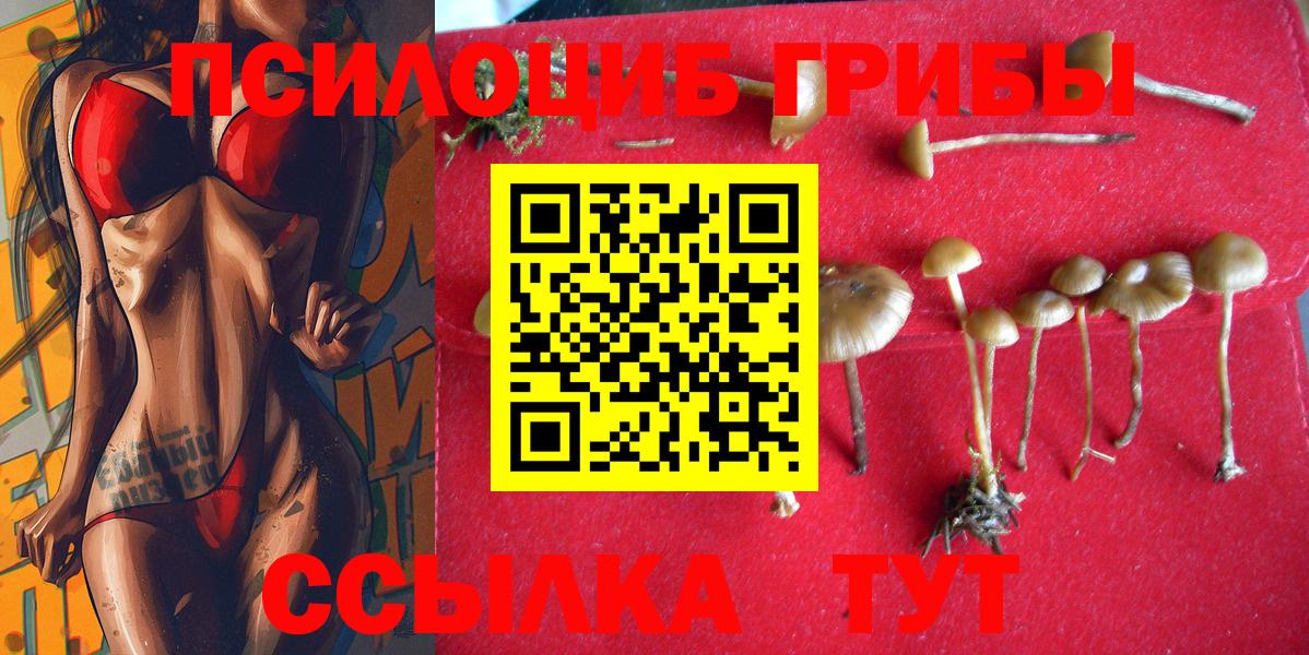 Нягань  купить закладку  Вход с VPN  Псилоцибиновые грибы ЛСД 